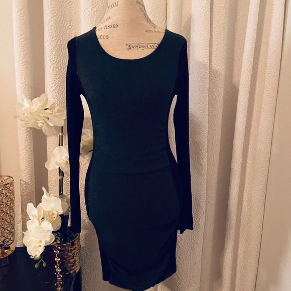 Express | Dresses | Express Long Sleeve Bodycon Sweater Dress | Poshmark